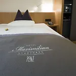 Maximilian - Stadthaus Penz 4* Innsbruck