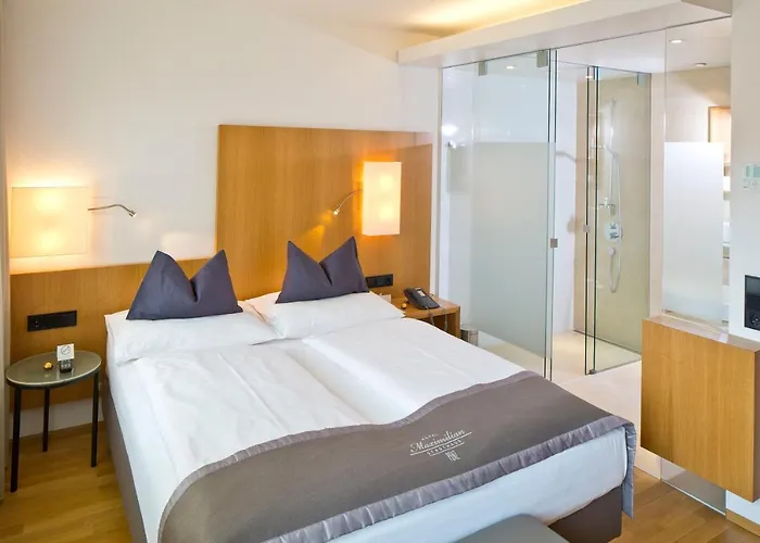 马克西米利安彭茨市政厅酒店 4*