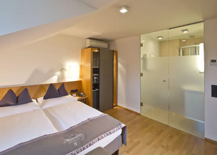 马克西米利安彭茨市政厅酒店