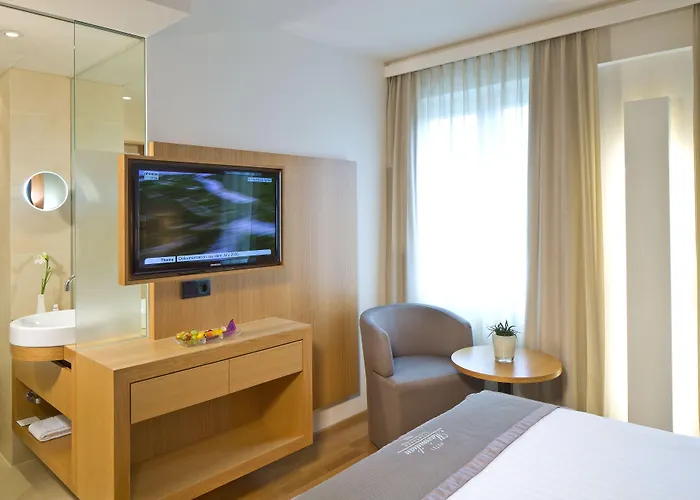 马克西米利安彭茨市政厅酒店 4*